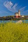 Oregon, Bandon. Coquille River Lighthouse along the Pacific Coast with foreground of wild mustard Art Print